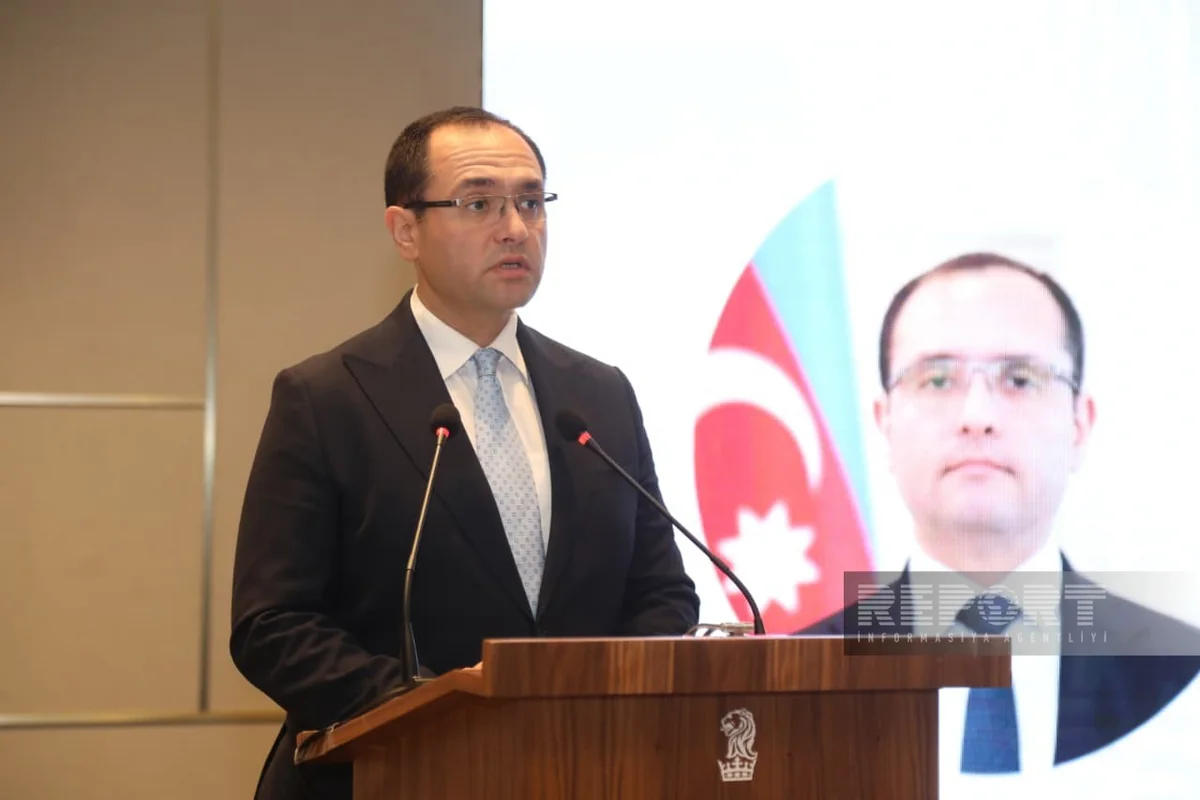 Məcnun Məmmədov: Toxumluq əkin sahələrində 5 mindən çox parsel üzrə yoxlamalar həyata keçirilib