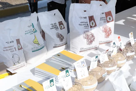 Hacıqabulda Aqrar Biznes Festivalı keçirilib