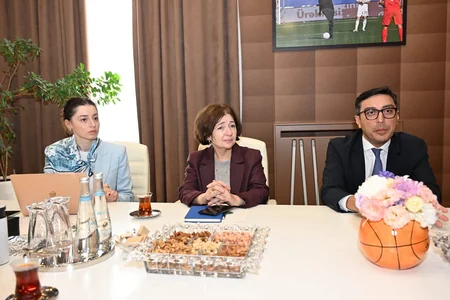 Azerbaijan, Georgia discuss cooperation in sports