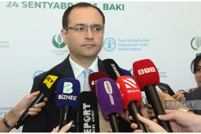 Nazir: Super elit və elit toxumların istehsalına subsidiyalar veriləcək
