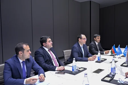 Azərbaycan FAO ilə gələcək əməkdaşlıq perspektivlərini müzakirə edib