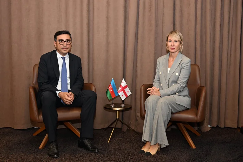 Azerbaijan, Georgia discuss cooperation in sports