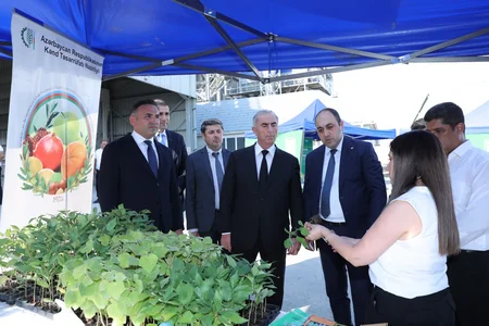 Hacıqabulda Aqrar Biznes Festivalı keçirilib