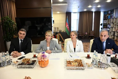 Azerbaijan, Georgia discuss cooperation in sports