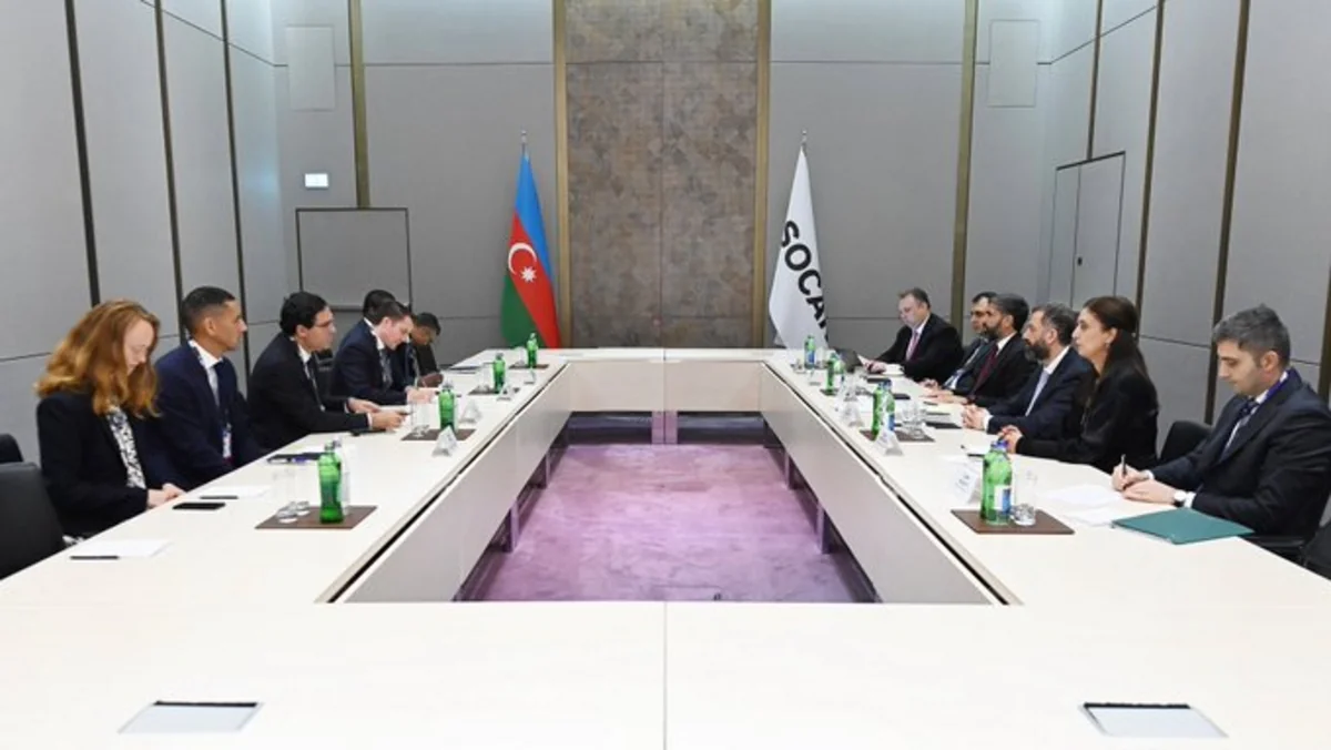 SOCAR намерена расширить международную деятельность при партнерстве с Brookfield Asset Management