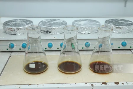 FAO nümayəndəsi Mərkəzi Laboratoriyanın fəaliyyəti ilə tanış olub