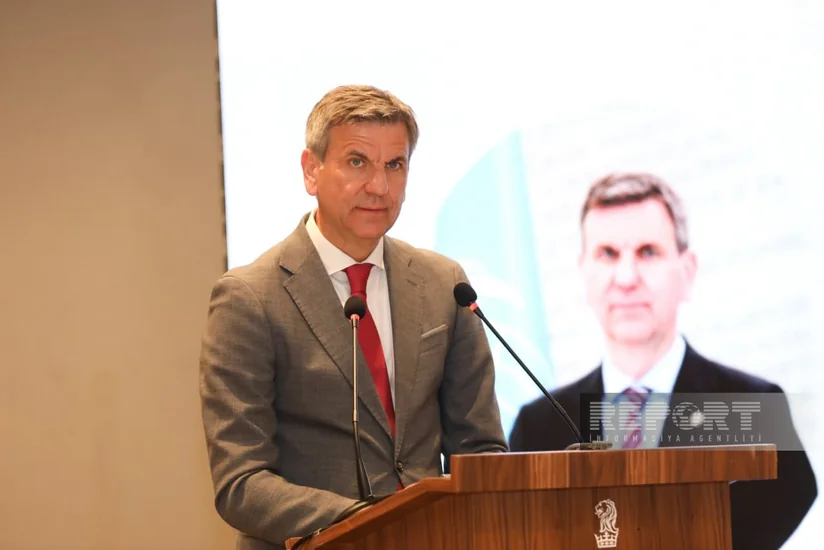 FAO: Digital innovations should be accessible to farms of all sizes