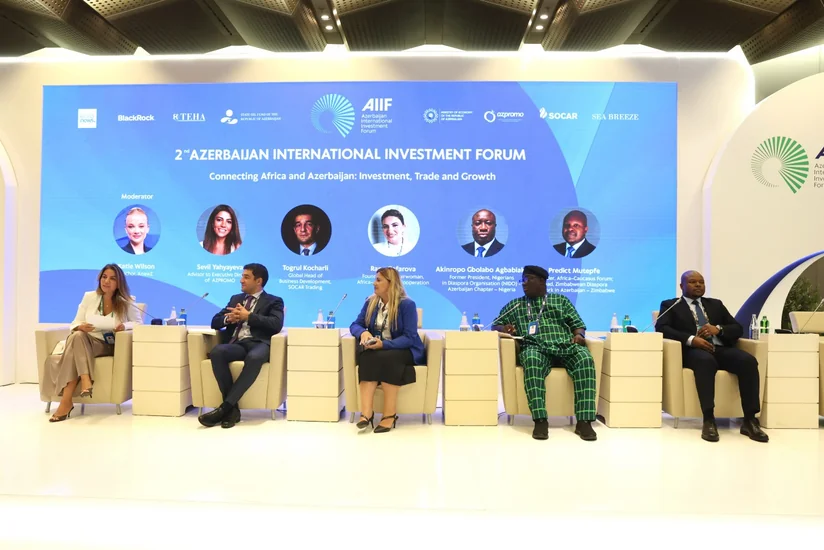 Development of Azerbaijan-Africa relations discussed in Baku