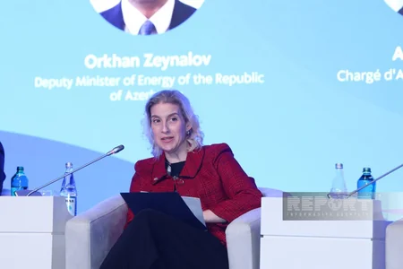 Emi Karlon: ABŞ Cənubi Qafqaz regionuna və Transxəzər ticarət dəhlizinə diqqətini artırır