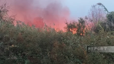 Kürdəmirdə 10 hektardan çox ərazidə quru otlaq sahəsi və ağaclar yanıb