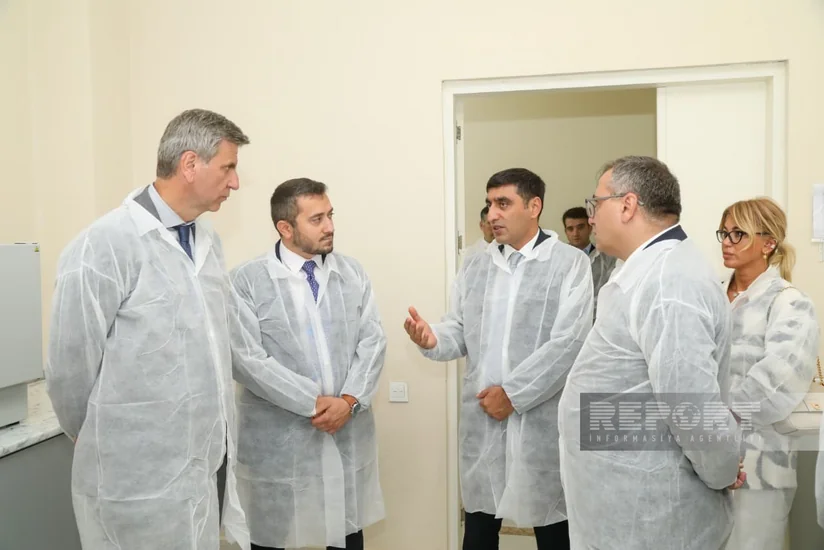 Mərkəzi Laboratoriyada yem analizlərinin aparılması üzərində işlər görülür