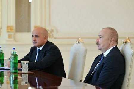 İlham Əliyev Brookfield Asset Management şirkətinin baş icraçı direktorunu qəbul edib