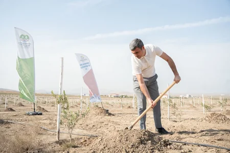Müşfiqabadda ağacəkmə aksiyası keçirilib