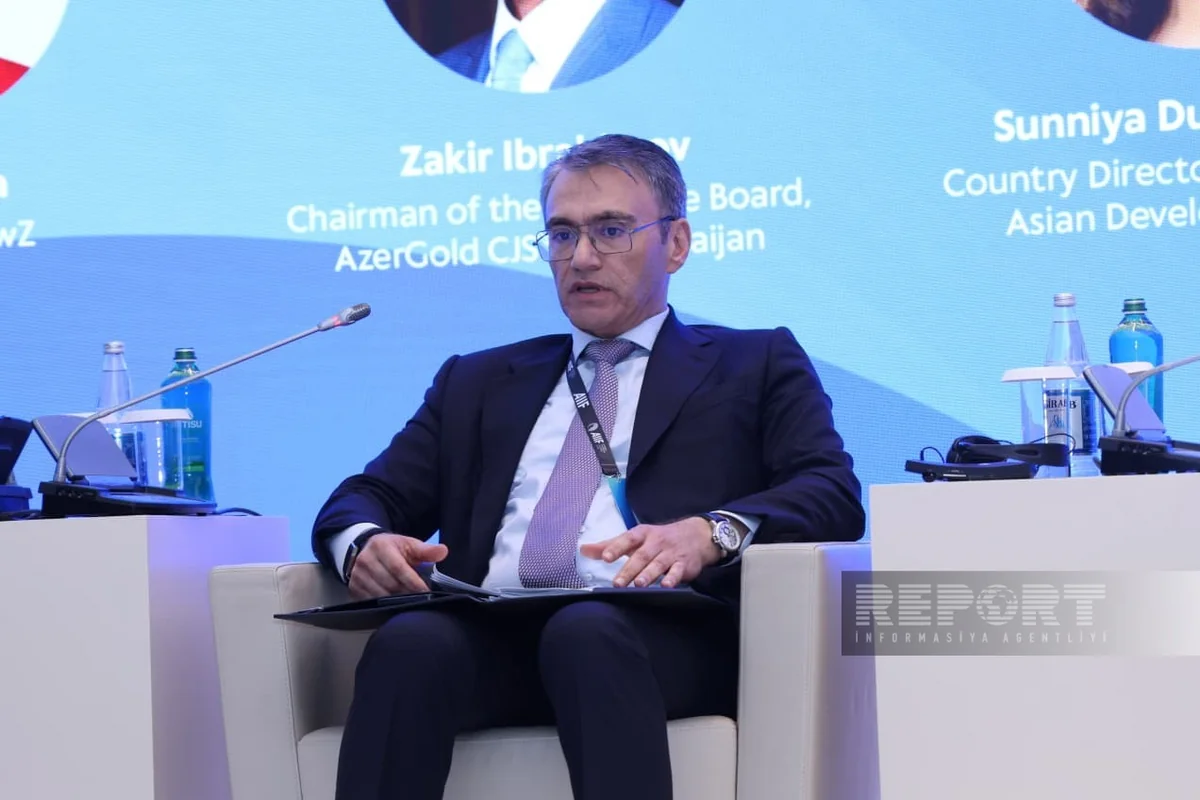 Azərbaycan Ələt ərazisində kritik mühüm minerallar habı yaradacaq