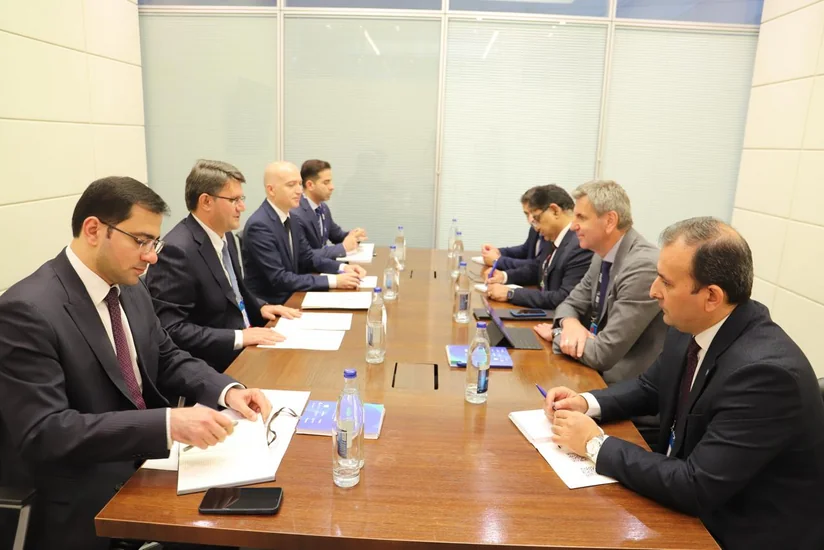 Rəşad İsmayılov FAO nümayəndəsi ilə ətraf mühit məsələlərini müzakirə edib