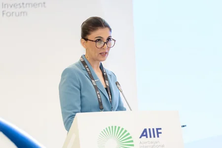Panel session on 'Critical Raw Materials and Global Economic Security' held at 2nd Azerbaijan International Investment Forum