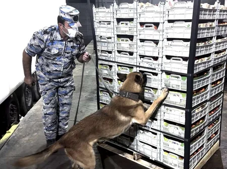 İrandan Rusiyaya 52 kiloqrama yaxın narkotikin keçirilməsinin qarşısı alınıb