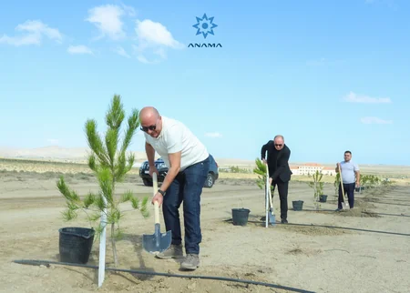 Anım Günü ilə əlaqədar  Müşfiqabadda ağacəkmə tədbiri keçirilib