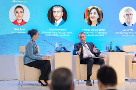 Panel session on 'Critical Raw Materials and Global Economic Security' held at 2nd Azerbaijan International Investment Forum