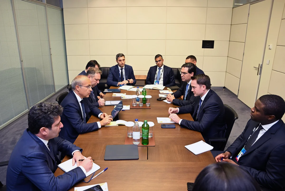 Azerbaijan, Brookfield discuss energy transition, renewable energy