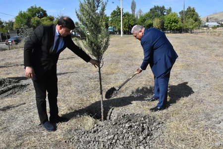 Ağsu, Göyçay, Zərdab və Kürdəmirdə Anım Günü ilə əlaqədar silsilə tədbirlər baş tutub
