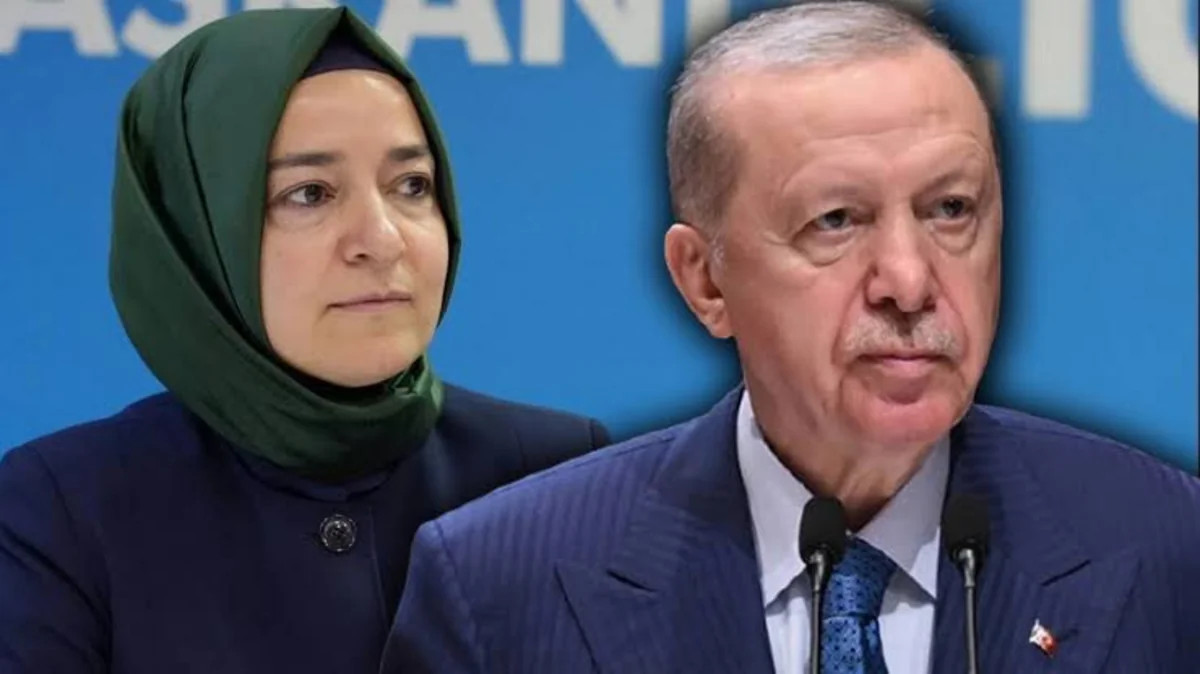 Türkiyə Prezidenti müavini ilə bağlı yayılan məlumatlara münasibət bildirib
