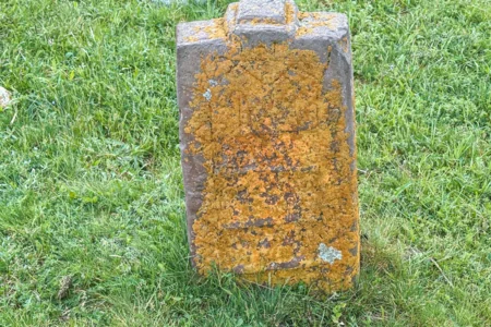Ağbulaq kəndinin tarixi və əhalisi ilə bağlı məlumatlar sənədləşdirilib