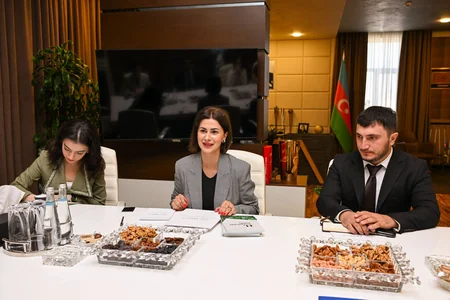 Azerbaijan and CECECO discuss cooperation in youth affairs