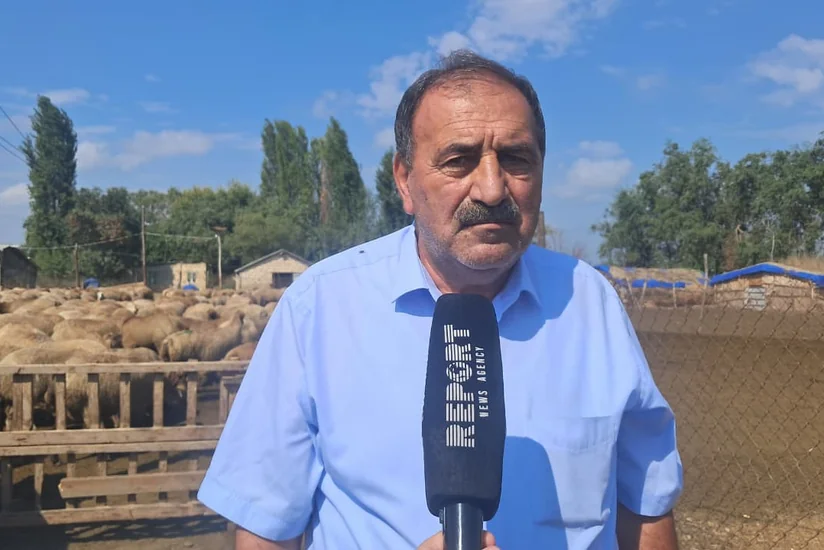 Ağcabədili fermer: Ötən il dabaq xəstəliyindən xeyli heyvanımız tələf olub