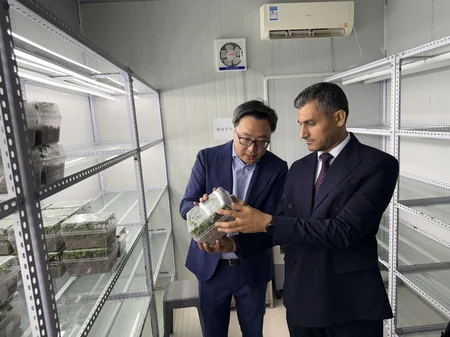Azerbaijani agriculture delegation studies modern farming technologies in China