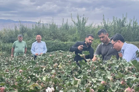 Azerbaijani agriculture delegation studies modern farming technologies in China