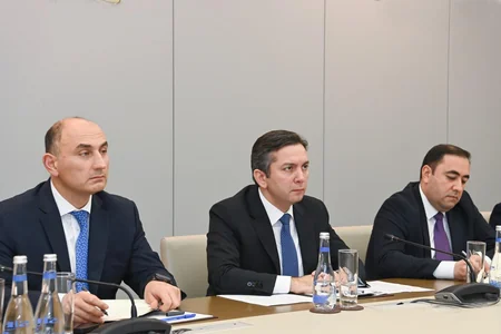 Azərbaycan və Aİ arasında regional məsələlər müzakirə olunub
