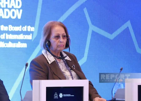 AQEM-in Media Forumunda Azərbaycanın sədrliyi müzakirə olunub