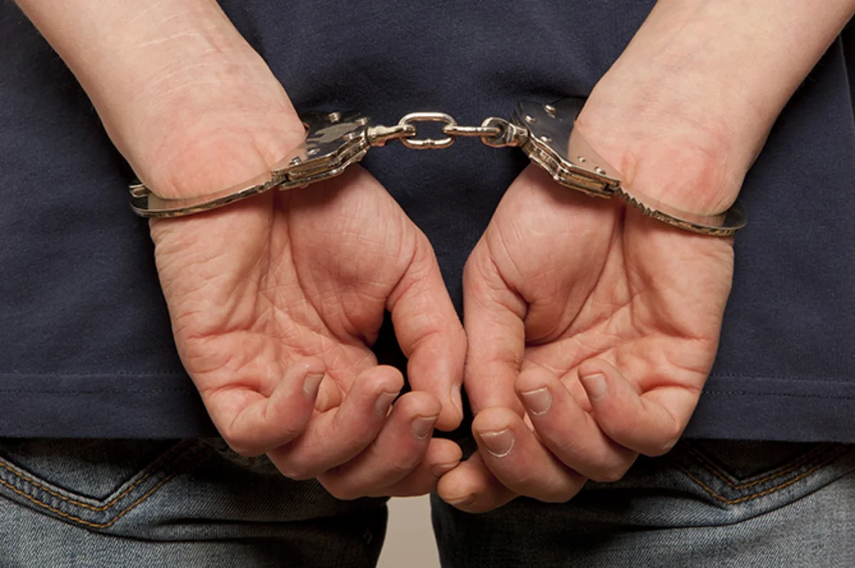 В Армении задержан мужчина за попытку ввоза наркотиков весом свыше 14 кг