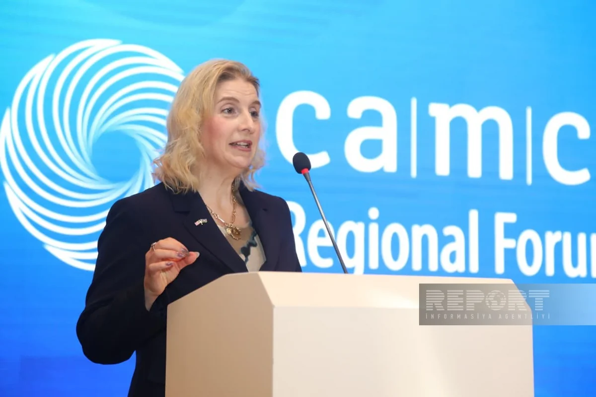 Amy Carlon: Fully implemented TITR could transform trade flows across Eurasia