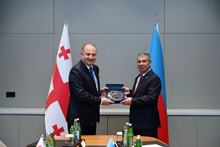 Azerbaijani, Georgian Defense Ministers discuss issues of mutual interest