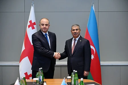 Azerbaijani, Georgian Defense Ministers discuss issues of mutual interest