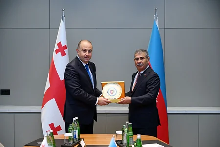Azerbaijani, Georgian Defense Ministers discuss issues of mutual interest