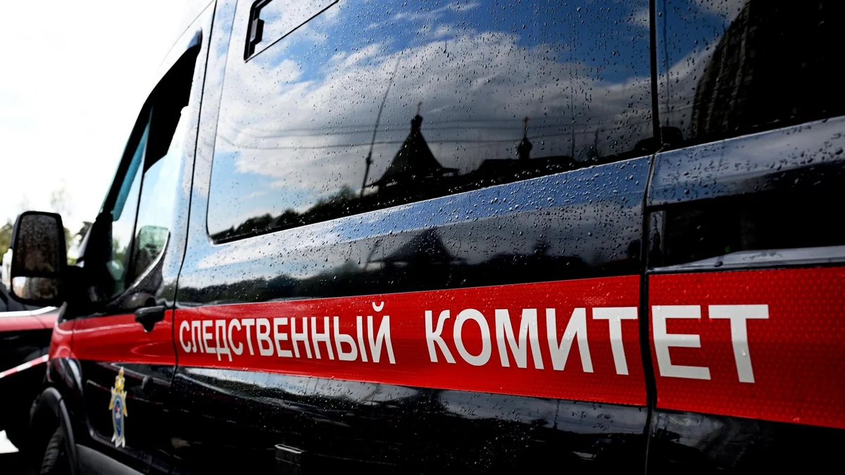 В уборной аэропорта Шереметьево мать, предположительно, задушила новорожденного