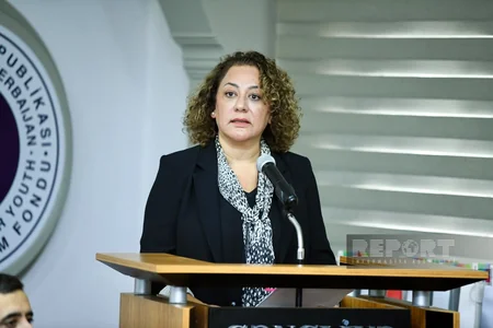 Şuşa Bəyannaməsindən Türk Dövlətləri Təşkilatına mövzusunda konfrans keçirilib