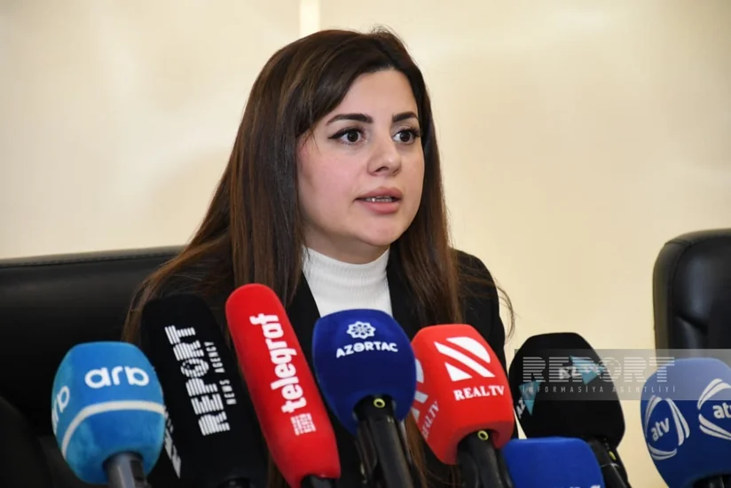 İşğal dövründə Ermənistan Azərbaycana məxsus 7 filiz, 39 qeyri-filiz yatağını qanunsuz istismar edib