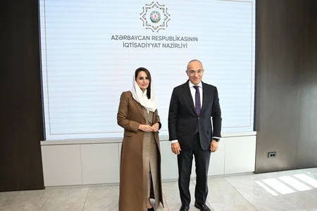 Azerbaijan, DCO discuss role of digital economy in economic diversification