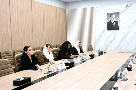 Azerbaijan, DCO discuss digital transformation and AI cooperation