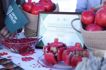 Aghdam hosts 100th Jubilee Agribusiness Festival