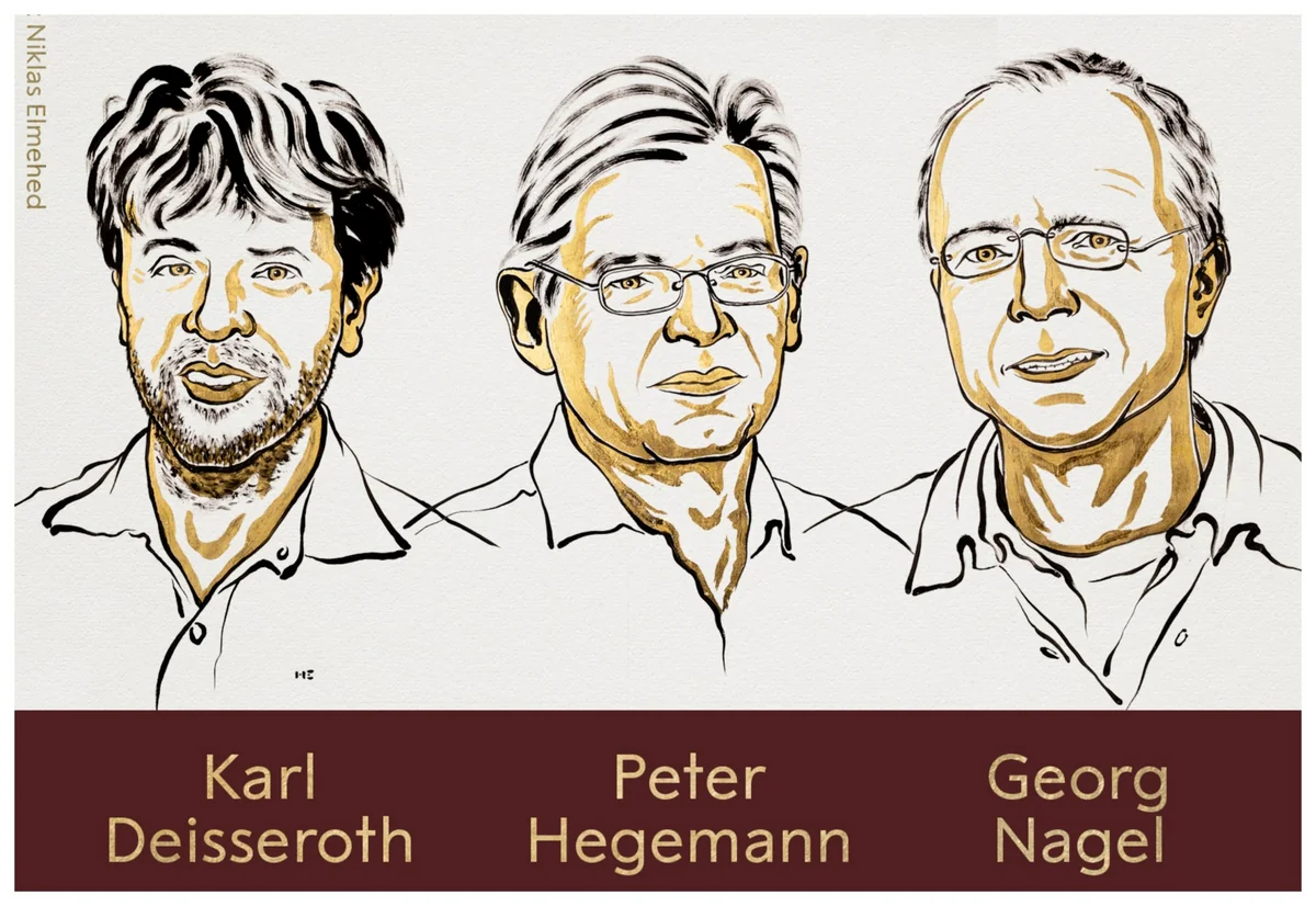Deisseroth, Hegemann and Nagel win 2026 Nobel Prize in Medicine