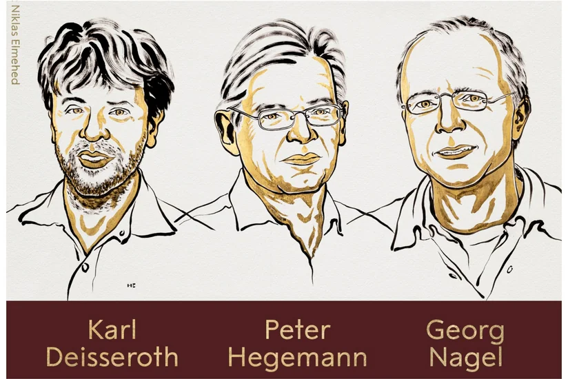 Deisseroth, Hegemann and Nagel win 2026 Nobel Prize in Medicine