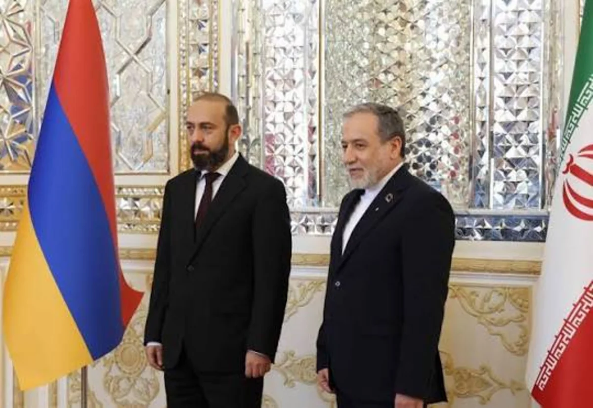 Mirzoyan və Əraqçi TRIPP layihəsinin imkanlarını müzakirə ediblər