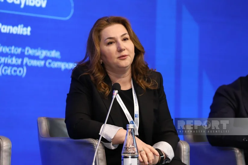 Xəyalə Nağıyeva: Yaşıl enerji sahəsində maliyyələşmə özəl sektorun üzərinə düşməlidir