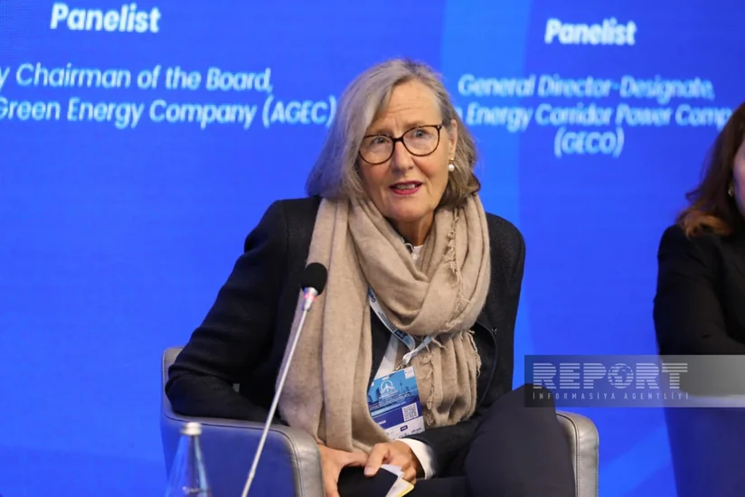 Kristina Haverkamp: Germany ready to support Green Energy Corridor projects