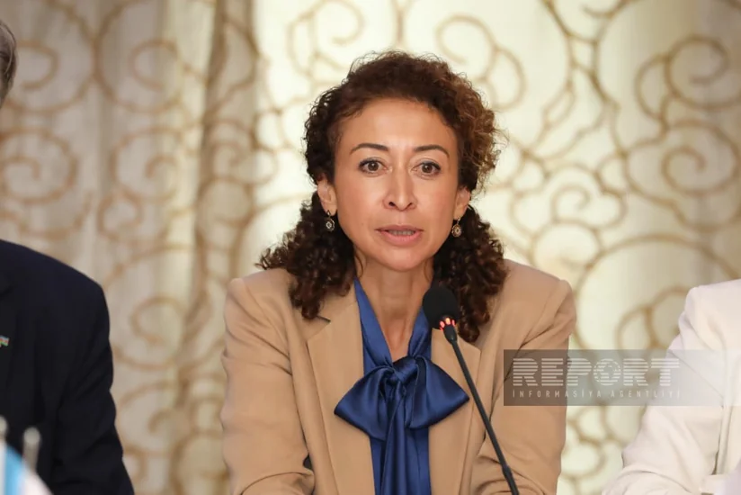 Nargis Wieck: Middle Corridor should become platform for investment, industrial co-op